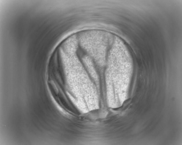 X0000068281523200605121859