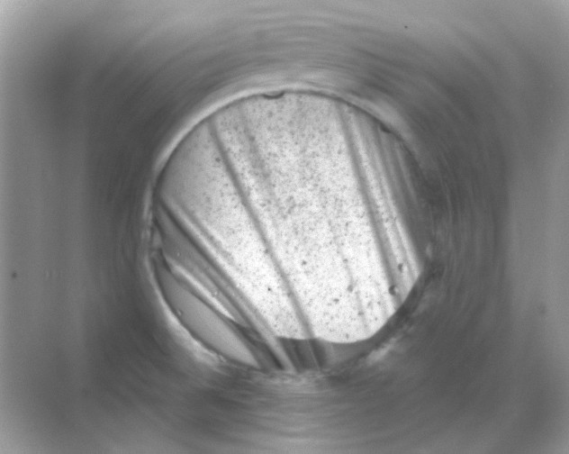 X0000068281524200605121859