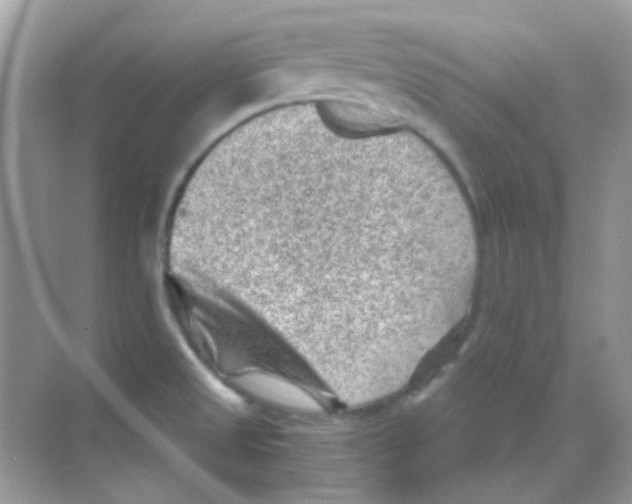 X0000068281525200605121859