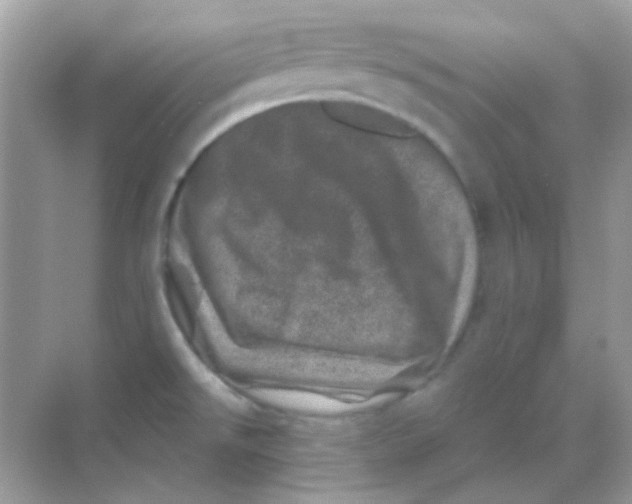 X0000068281526200605121859