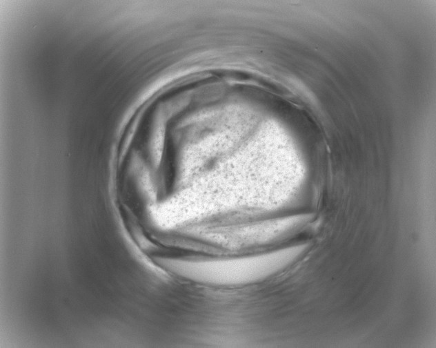 X0000068281528200605121859