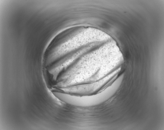 X0000068281532200605121859