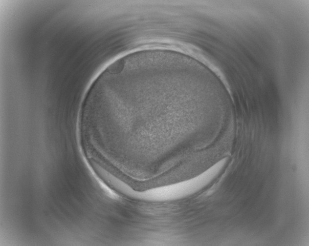 X0000068281533200605121859