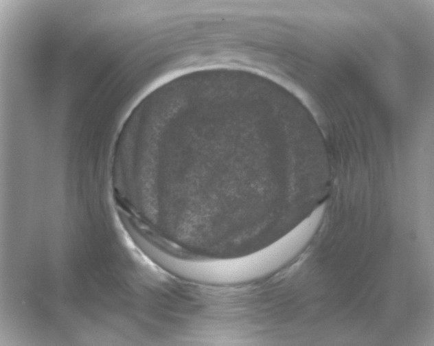 X0000068281534200605121859