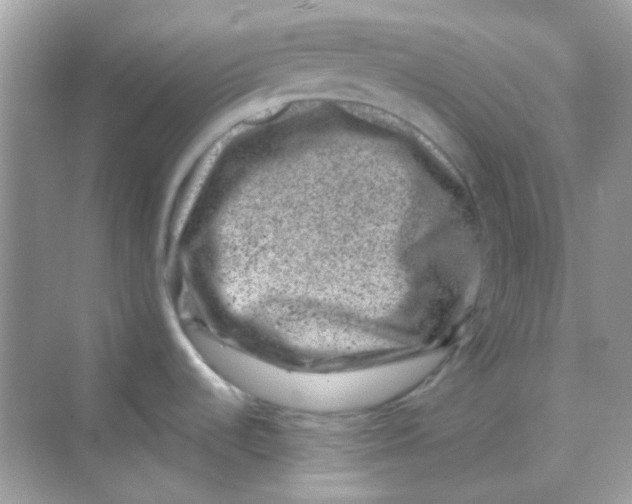 X0000068281536200605121859