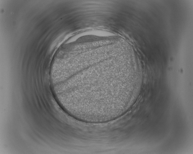 X0000068280002200605191905