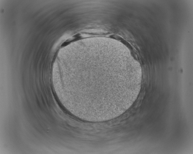 X0000068280003200605191905