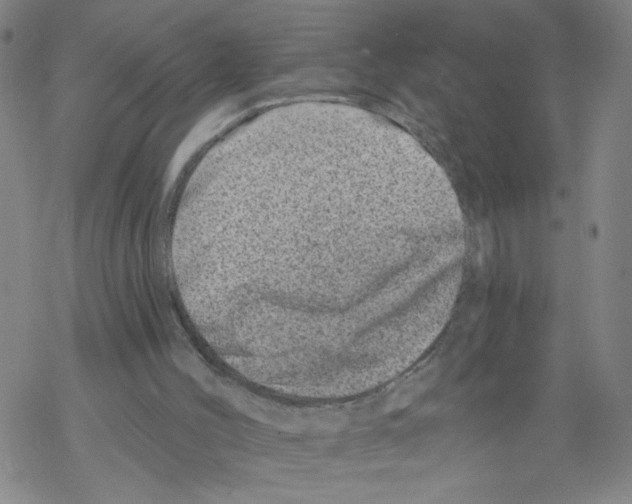 X0000068280004200605191905