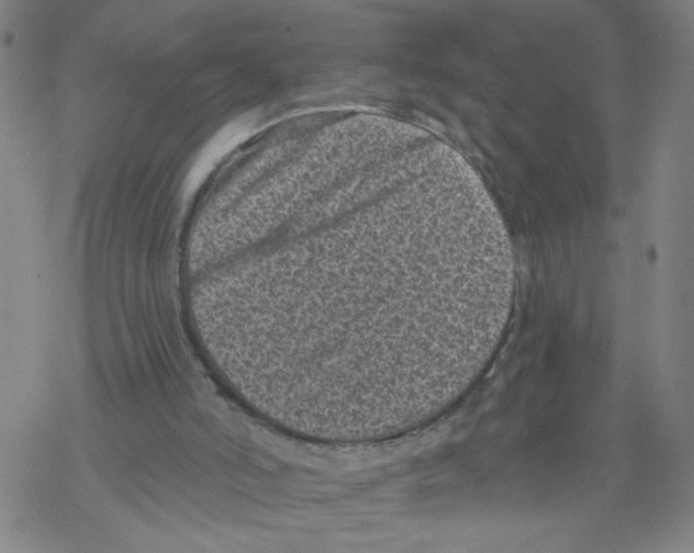 X0000068280006200605191905