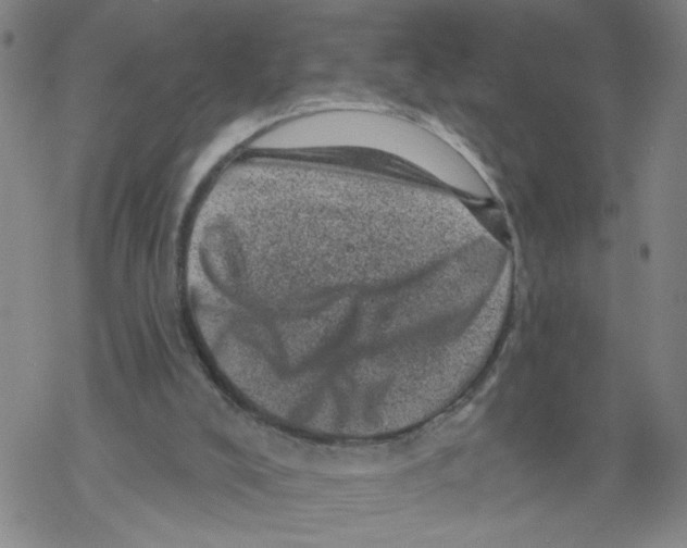 X0000068280008200605191905