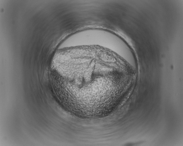 X0000068280009200605191905