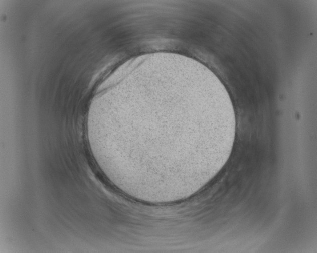 X0000068280010200605191905