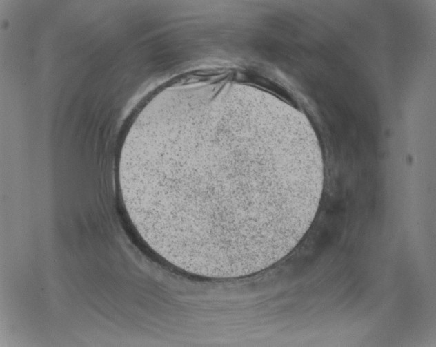 X0000068280011200605191905