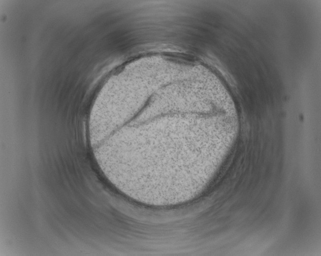 X0000068280014200605191905