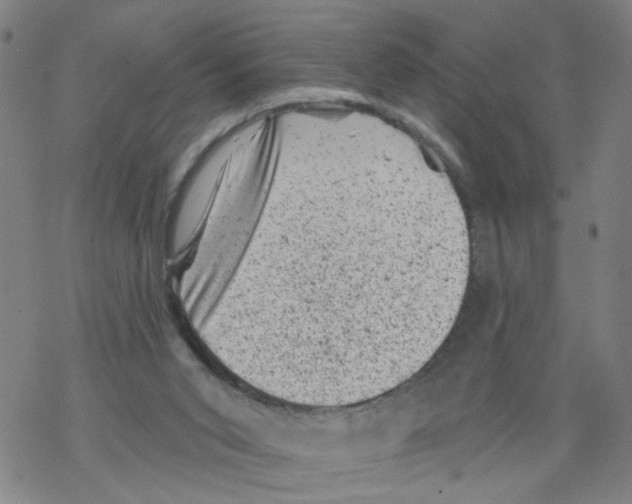 X0000068280015200605191905