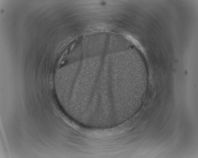 X0000068280017200605191904