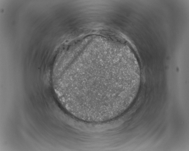 X0000068280018200605191904