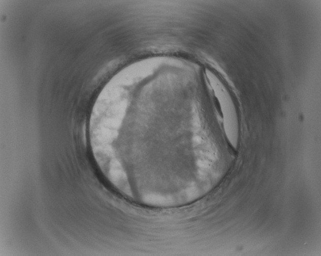 X0000068280019200605191904