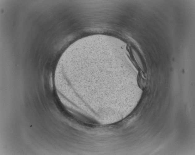 X0000068280020200605191904