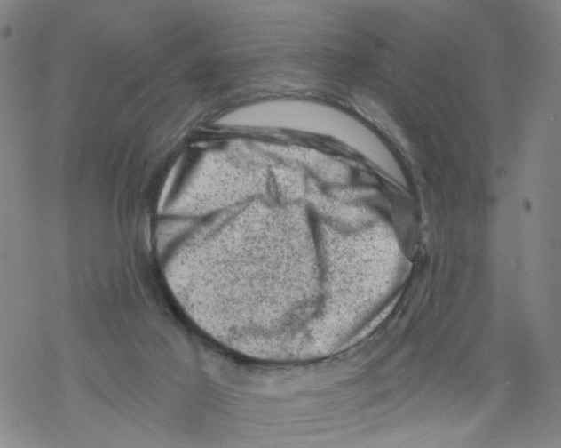 X0000068280021200605191904