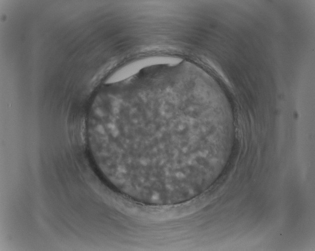 X0000068280023200605191904