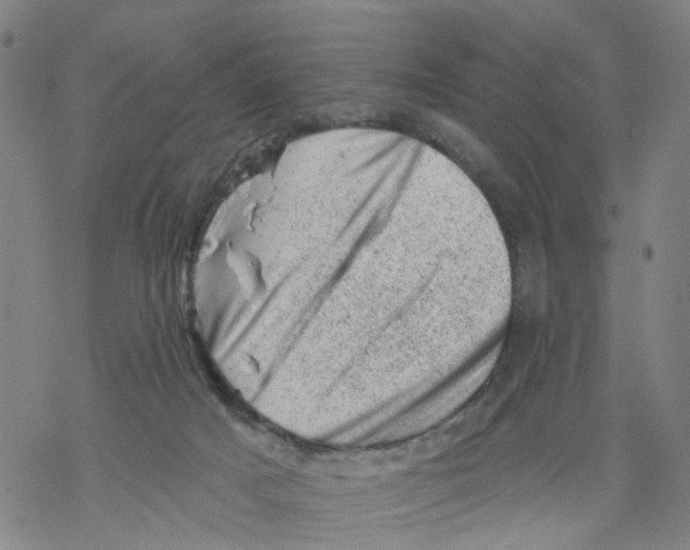 X0000068280025200605191904