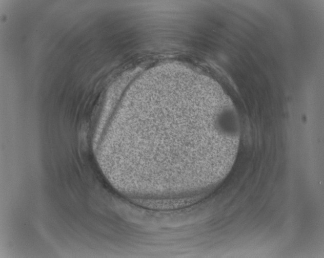 X0000068280026200605191904