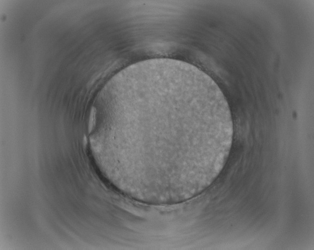 X0000068280027200605191904