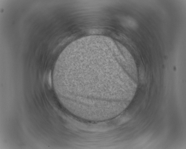 X0000068280028200605191904