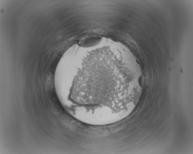 X0000068280029200605191904