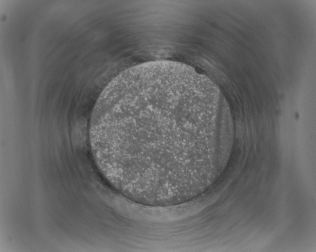 X0000068280030200605191904