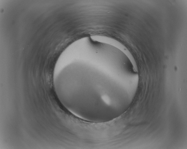 X0000068280031200605191904