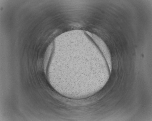 X0000068280034200605191904