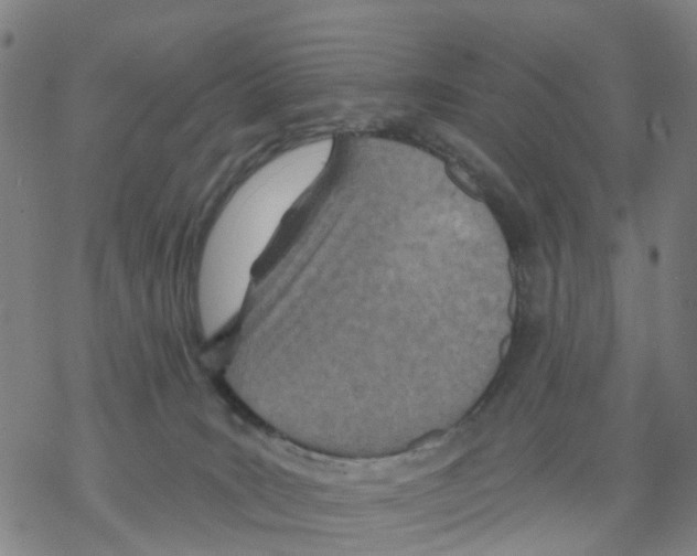 X0000068280035200605191904