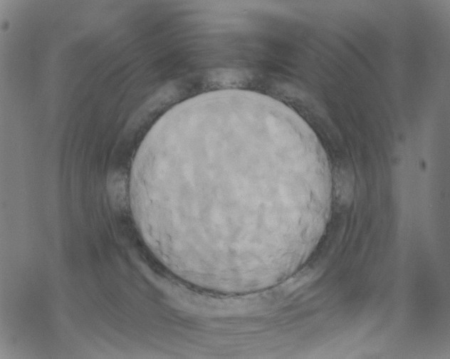 X0000068280036200605191904