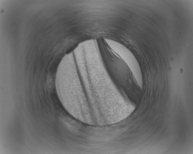 X0000068280037200605191904