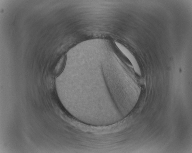 X0000068280039200605191904