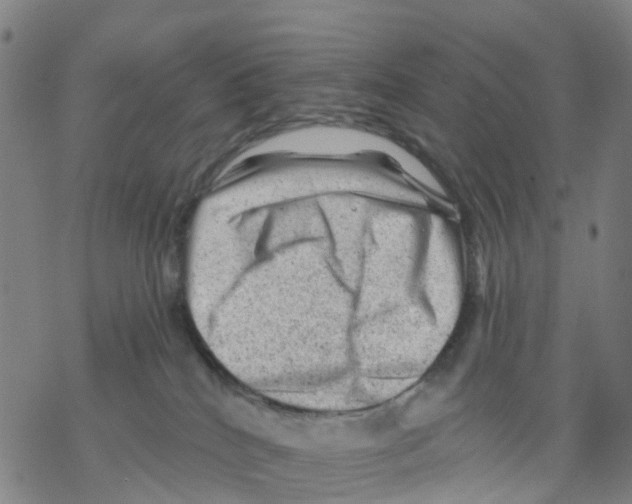 X0000068280040200605191904