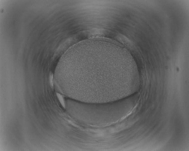 X0000068280041200605191904