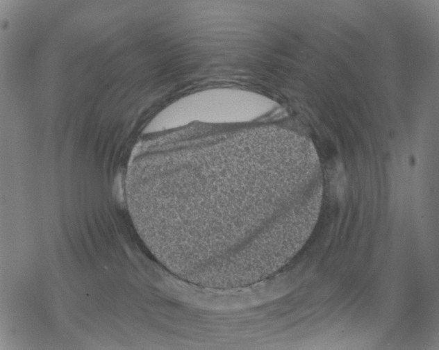 X0000068280042200605191904