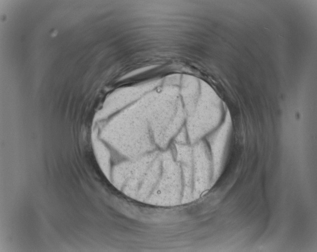 X0000068280044200605191904