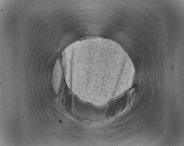 X0000068280045200605191904