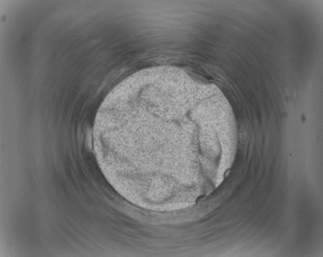 X0000068280046200605191904