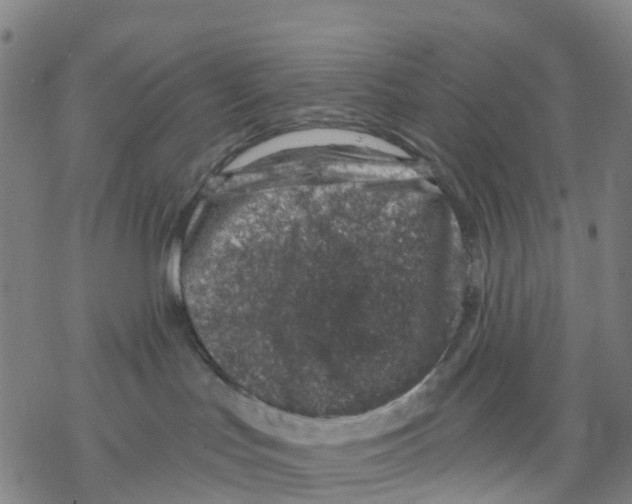 X0000068280047200605191904