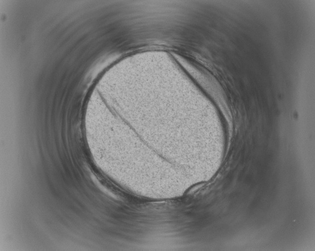 X0000068280050200605191903