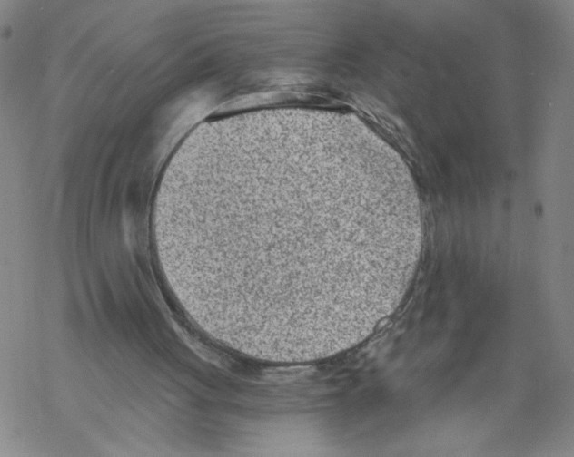 X0000068280051200605191903