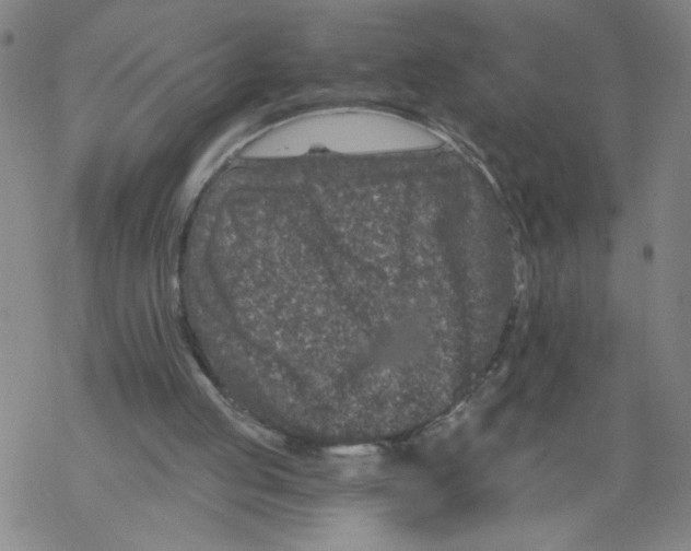 X0000068280053200605191903