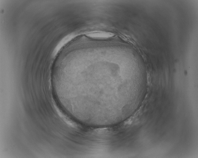 X0000068280054200605191903