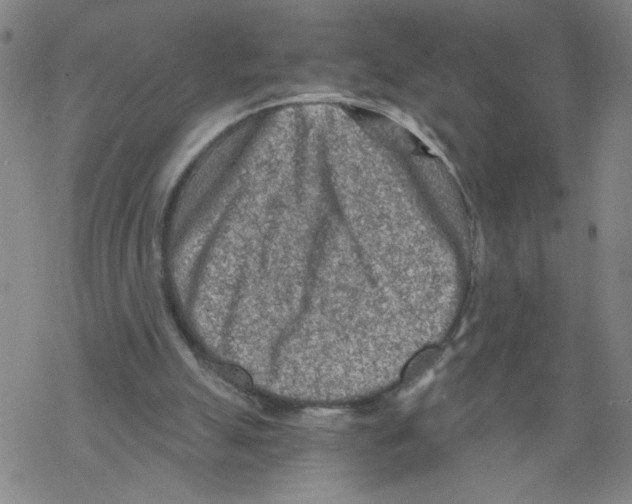 X0000068280055200605191903