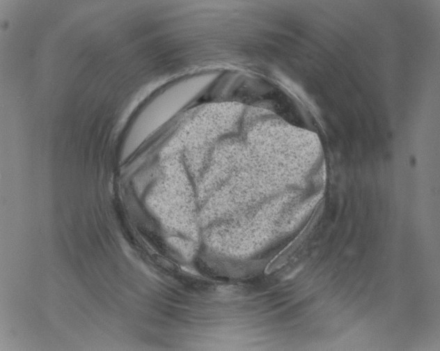 X0000068280060200605191903